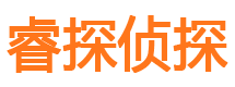 小河私家调查公司